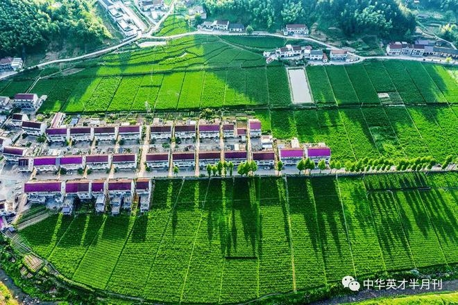 下载-14_副本.jpg 下载-14_副本.jpg