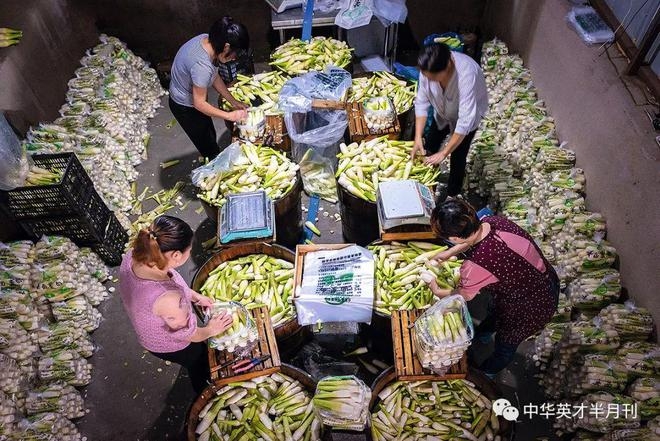 下载-7_副本.jpg 下载-7_副本.jpg